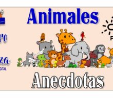 Animales Anécdotas
