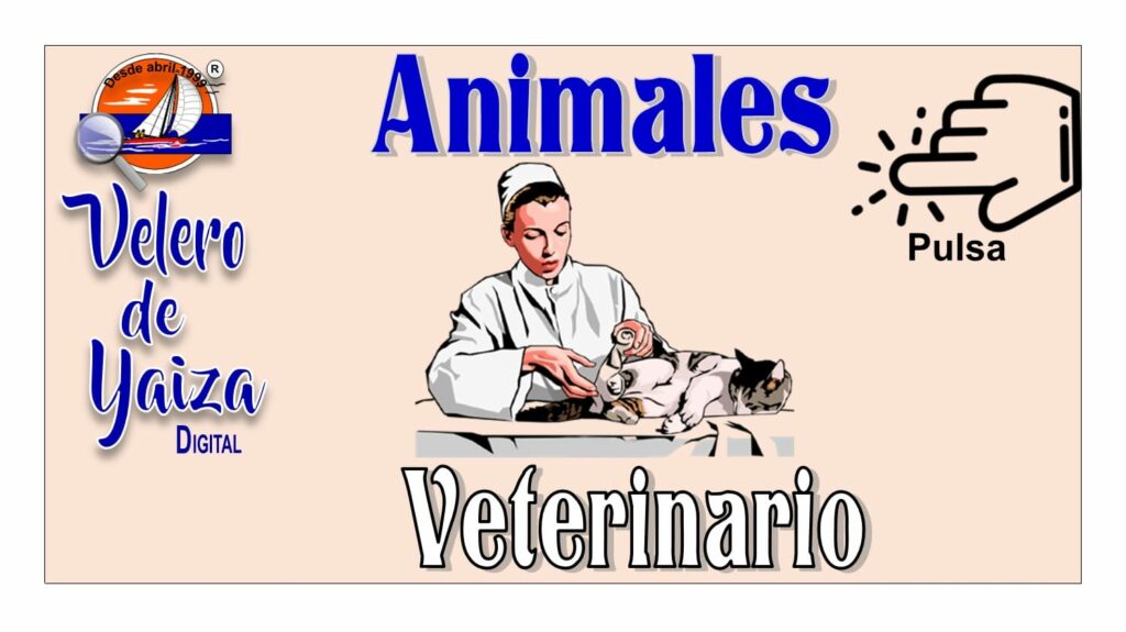 Animales Veterinario