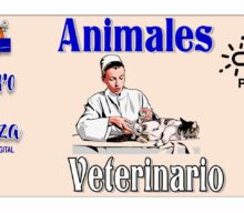 Animales Veterinario
